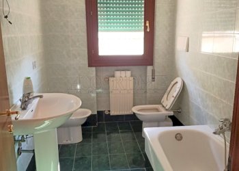 IMG20220209122149.jpg - Appartamento Casalserugo - foto 7