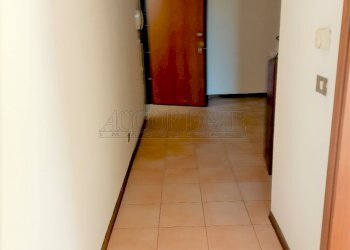 IMG20220209122421.jpg - Appartamento Casalserugo - foto 9