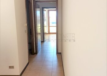 IMG20220209122542.jpg - Appartamento Casalserugo - foto 12