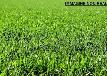 BB 01.jpg - Appartamento ZONA CENTRALE 21, Collebeato - foto 9