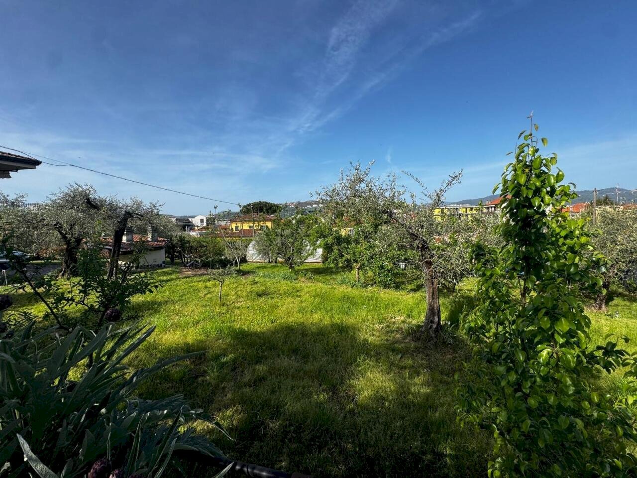 Terreno edificabile Santo Stefano di Magra - foto 3