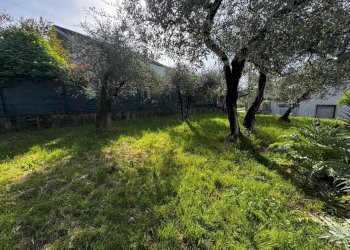 Terreno edificabile Santo Stefano di Magra - foto 2