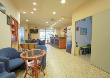 DSC02420.jpg - Stabile - Palazzo Via Publio Virgilio Marone, Bellaria-Igea Marina - foto 2