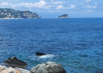 20240616_140615.jpg - Appartamento Via Cristoforo Colombo 51, Noli - foto 5