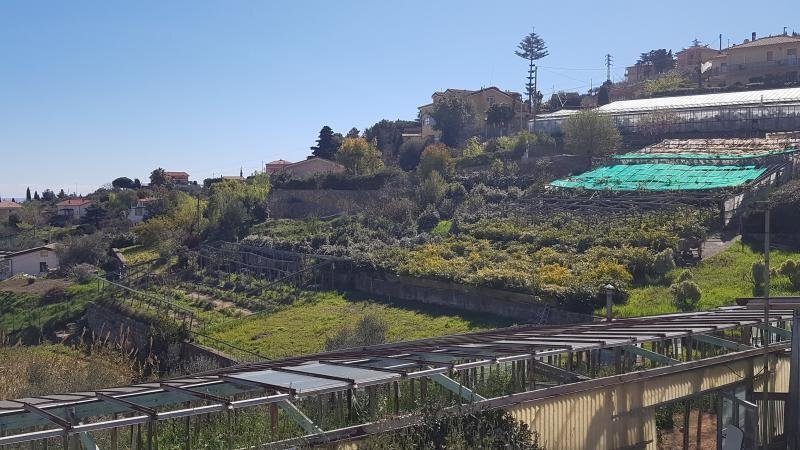 2 - Rustic Via Solaro Rapalin 108, Sanremo - photo 2