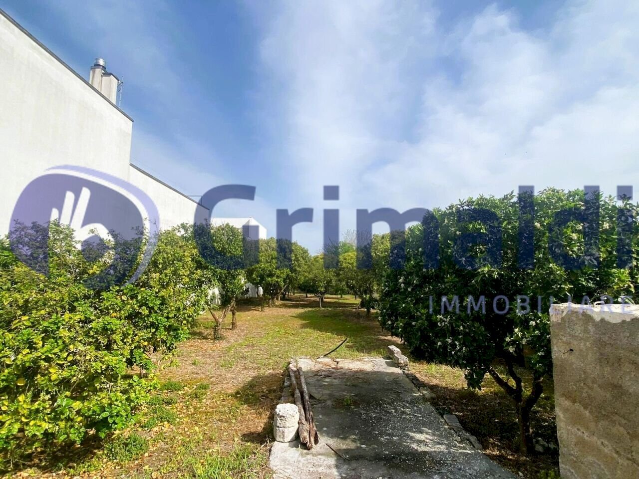 7fd43e32-2e9f-4402-b6f0-98fac24a7c3a_risultato.jpg - Terreno agricolo Via Santa Lucia 44, Scorrano - foto 1