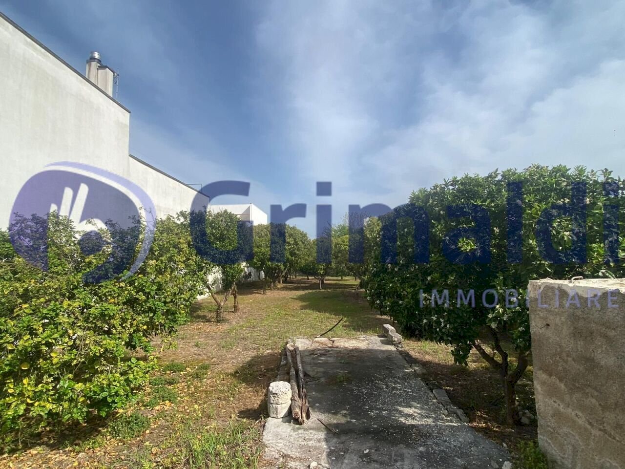 f17aa5fa-70e9-4a66-b18b-06e3ba3102a8_risultato.jpg - Terreno agricolo Via Santa Lucia 44, Scorrano - foto 2