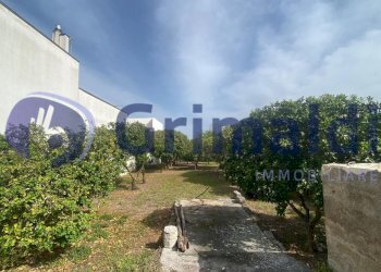 f17aa5fa-70e9-4a66-b18b-06e3ba3102a8_risultato.jpg - Terreno agricolo Via Santa Lucia 44, Scorrano - foto 2