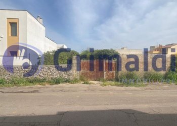 Gemini_Generated_Image_1zeet41zeet41zee_risultato. - Terreno agricolo Via Santa Lucia 44, Scorrano - foto 3