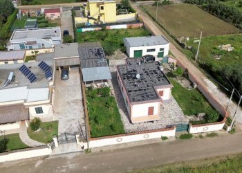 PHOTO-2026-04-16-12-33-10.jpg - Villa Via Affile 12, Nettuno - foto 26