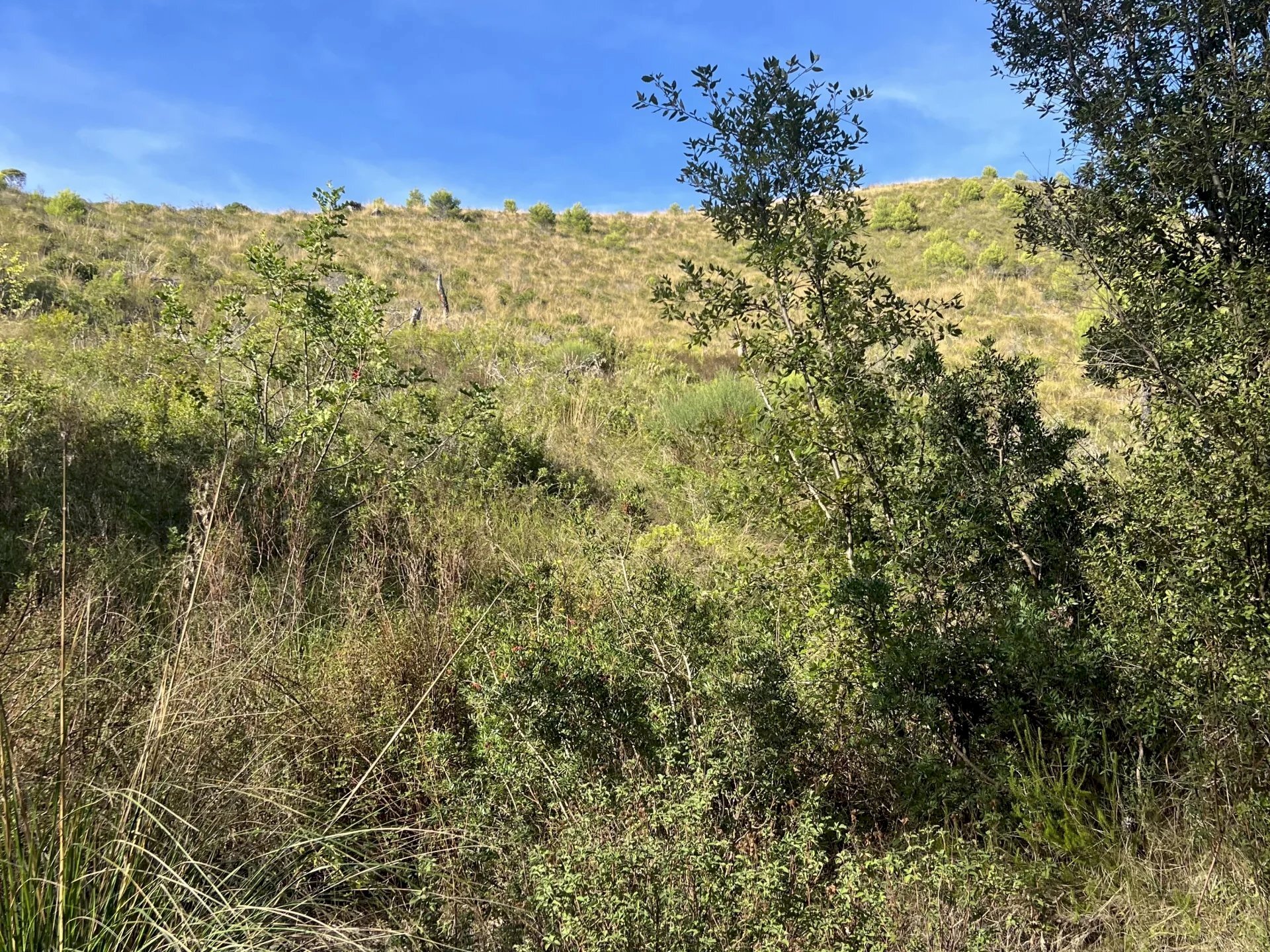 Terreno agricolo Sperlonga - foto 3