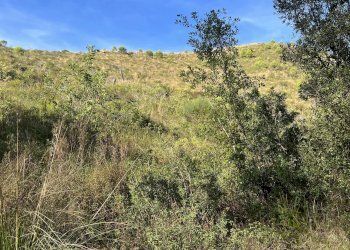 Terreno agricolo Sperlonga - foto 3