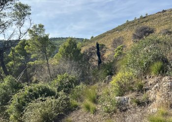 Terreno agricolo Sperlonga - foto 4