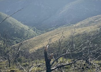 Terreno agricolo Sperlonga - foto 5