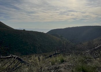 Terreno agricolo Sperlonga - foto 6