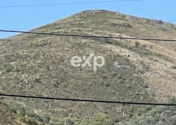 Terreno agricolo Sperlonga - foto 7