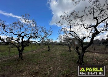 Villa Via Rinazzi, Canicattì - foto 9