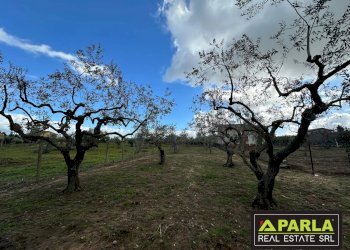 Villa Via Rinazzi, Canicattì - foto 10