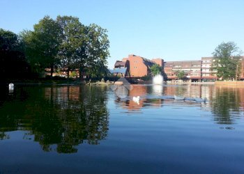 Monolocale Palazzo dei cigni, frazione Milano 3, Basiglio - foto 14