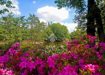 Monolocale Piazza Dei Cigni B, frazione Milano 3, Basiglio - foto 13