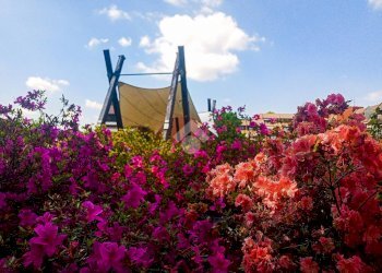 Monolocale Piazza Dei Cigni B, frazione Milano 3, Basiglio - foto 14