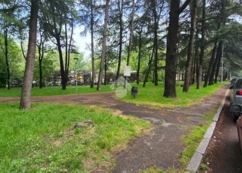 Trilocale Viale Risorgimento, Reggio nell'Emilia - foto 3