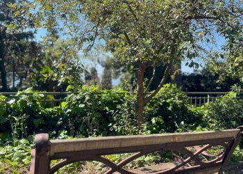 Two-room apartment Via Duca degli Abruzzi, 44, Sanremo - photo 43