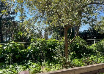 Two-room apartment Via Duca degli Abruzzi, 44, Sanremo - photo 44