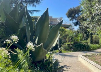 Two-room apartment Via Duca degli Abruzzi, 44, Sanremo - photo 48