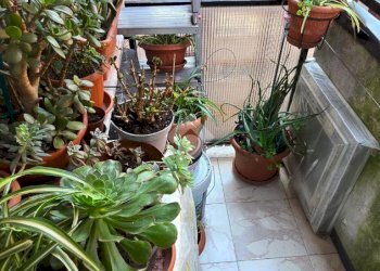 Monolocale Via don giovanni bosco, Cinisello Balsamo - foto 25