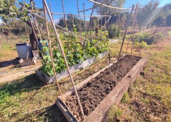 Independent house Via Sp100, Volpeglino - photo 34