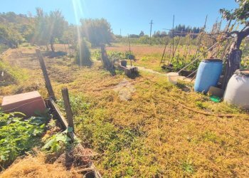 Independent house Via Sp100, Volpeglino - photo 36