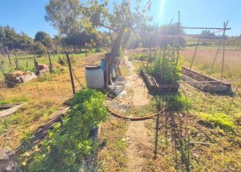 Independent house Via Sp100, Volpeglino - photo 37