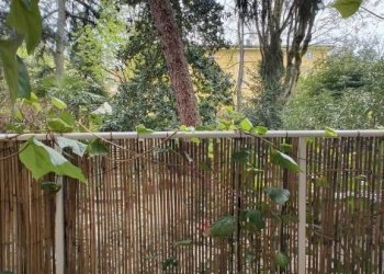 Terreno non edificabile Bologna - foto 10