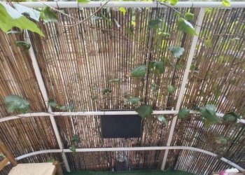 Terreno non edificabile Bologna - foto 9