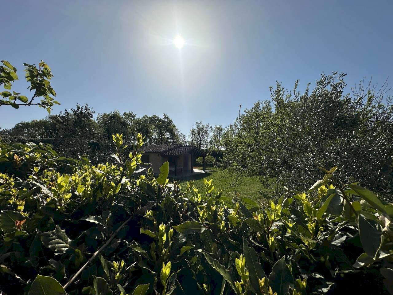 Casale Sorano - foto 2