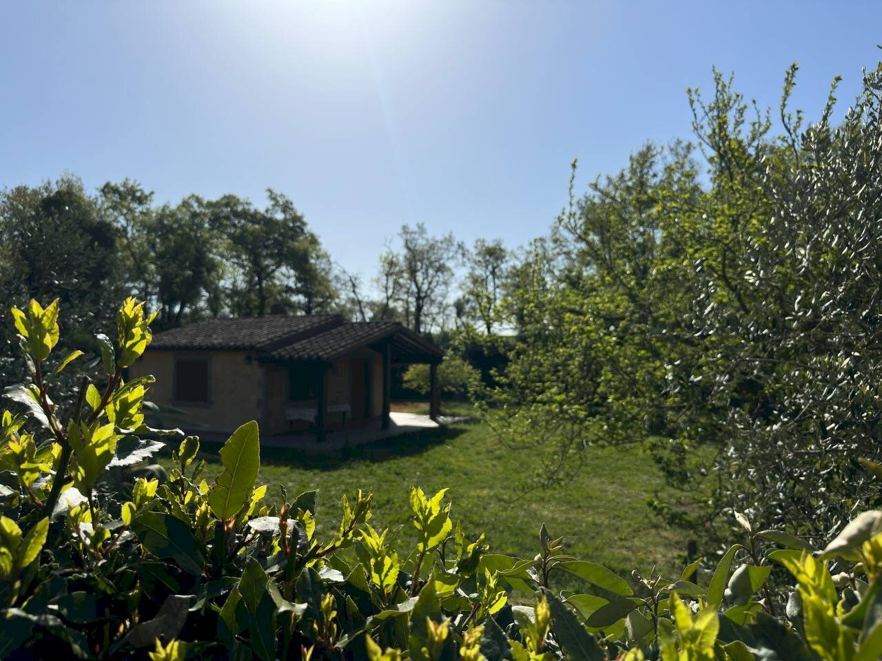 Casale Sorano - foto 3