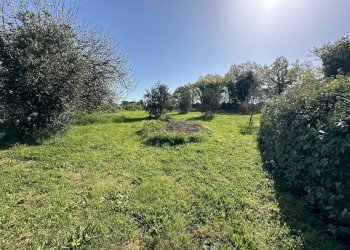 Casale Sorano - foto 5