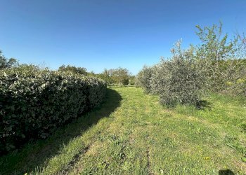 Casale Sorano - foto 6