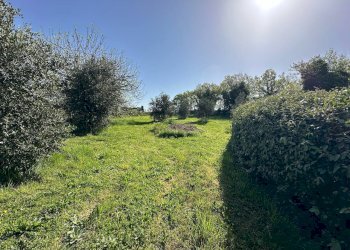 Casale Sorano - foto 7