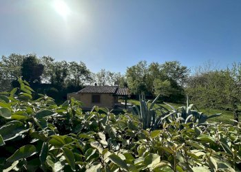 Casale Sorano - foto 8