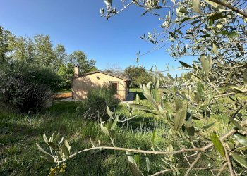 Casale Sorano - foto 10