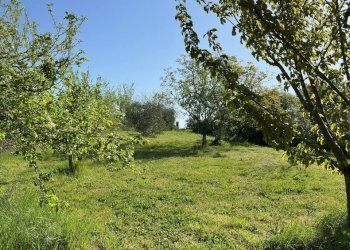 Casale Sorano - foto 18