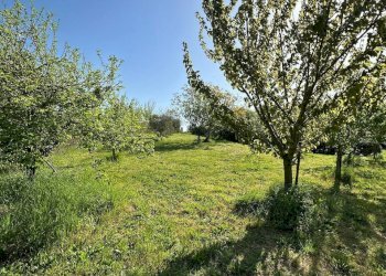 Casale Sorano - foto 19