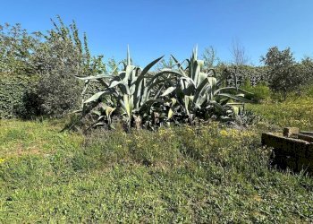 Casale Sorano - foto 34