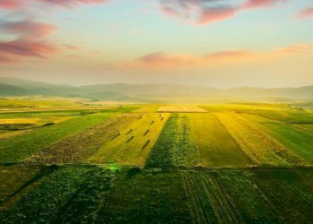 Foto 3 - Terreno agricolo Busnago - foto 3