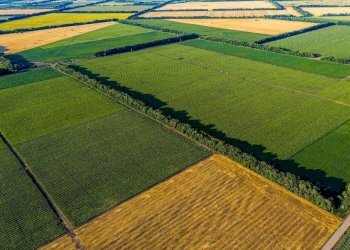 Foto 4 - Terreno agricolo Busnago - foto 4