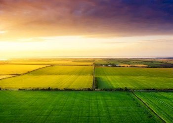 Foto 5 - Terreno agricolo Busnago - foto 5