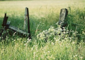 Foto 8 - Terreno agricolo Busnago - foto 8