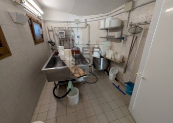 Foto 2 - Laboratorio Trambileno - foto 2